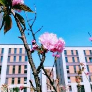 咸阳秦都 高新区 多面积厂房出售&#