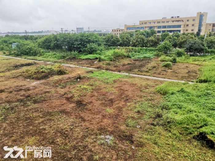 地基已做好厂房对外出租，给钱就租了-图2