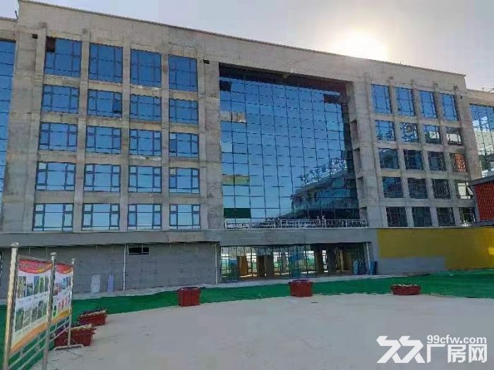 钢构，框架，独栋，秦汉新城优质厂房资源，满足客户多元化需求。-图4